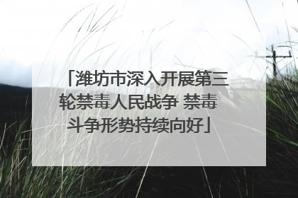 潍坊市深入开展第三轮禁毒人民战争 禁毒斗争形势持续向好